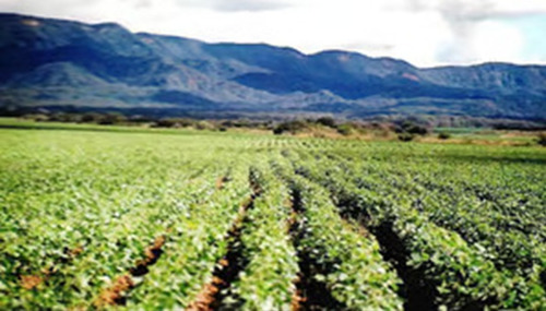 Finca Agropecuaria En Venta