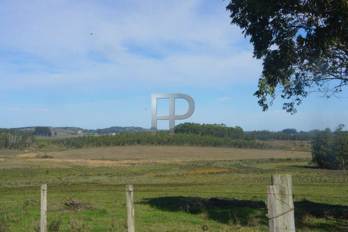 Imagen 1 de 2 de Campo En Venta San Carlos 5 Hectáreas