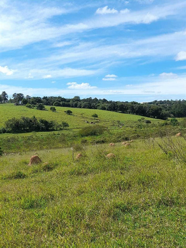 Imagem 12 de 14 de Adquira Já Seu Lote!! Financiamento Direto Com Proprietário