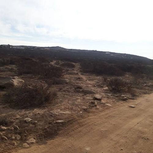 Sector Panul / La Herradura