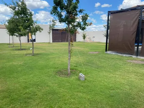 Quinta En Venta En Los Villareales-urrutias