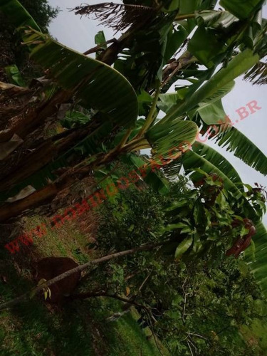 Imagem 10 de 20 de Venda - Chácara - Jardim Lagoa Nova - Limeira - Sp - D1317