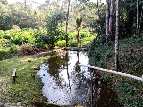 Imagem 3 de 13 de Juquitiba/sitio Moradia/lagos/piscina/pomar/ref:05166