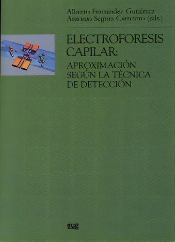 Electrofãâ³resis Capilar: Aproximaciãâ³n Segãâºn La Tãâ©cnica De Delecciãâ³n, De Aa.vv.. Editorial Universidad De Granada En Español