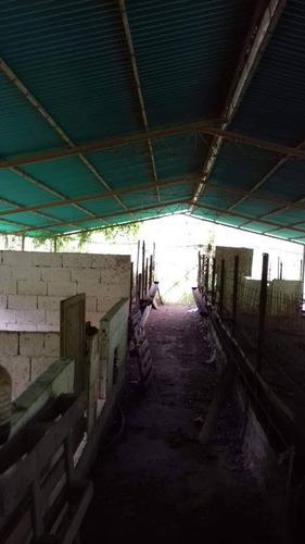 Imagen 3 de 14 de Venta Finca 67 Hectáreas Nigua Yaracuy Oportunidad Cod. 8973