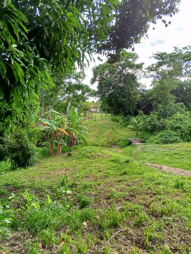 Global Vende Finca De 28 Hectáreas En Urb. Tocuyito Sector La Yaguara (vía Campo Carabobo)