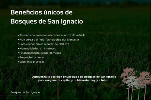 Imagen 10 de 11 de Terreno En Venta En Merida, Lote De Inversion, Bosques San I