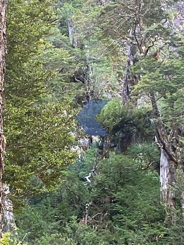 Imagen 7 de 11 de Increíble Terreno Para Conservación En Venta En Cochamo