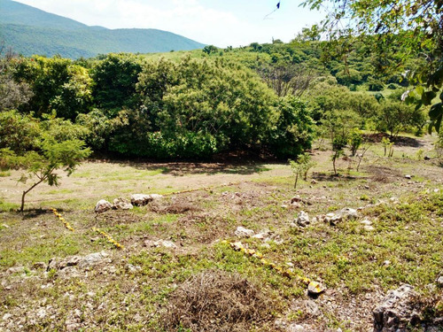 Imagen 10 de 14 de Terrenos Con Casa Club Facilidades De Pago