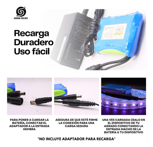 10 Baterías Pila Recargable 12v Volts Litio Pcb Plug 5.5mm