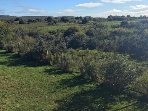 Casa + Terreno(2800m2)/marco De Los Reyes/2 Dorm/2 Baños/acepta Banco/parillero