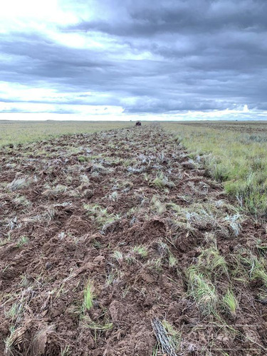 Campo De Cría/recría 74.000 Has. Para 8800 Madres, Armado En Mendoza