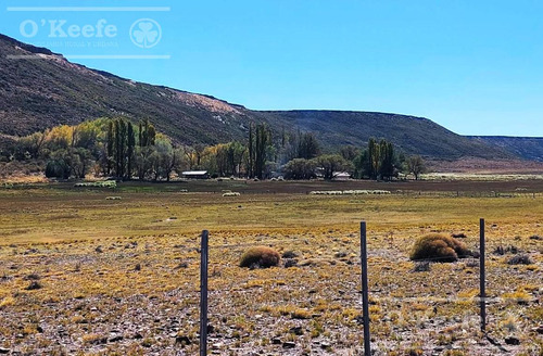 Imagen 1 de 30 de Campo En Venta De 14.000 Has En Neuquen Patagonia Argentina - Estancia Ganadera