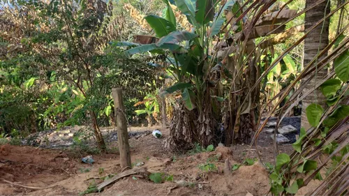 Terreno Em Ilhabela