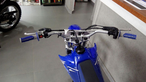 Imagen 9 de 20 de Moto Yamaha Ttr 125 2008 Delisio