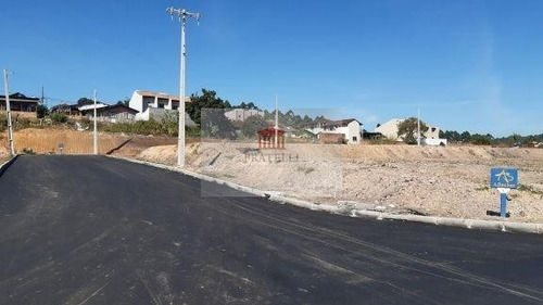 Imagem 4 de 24 de Terreno No Itinga Com 0 Quartos Para Venda, 240 M² - Ft1358