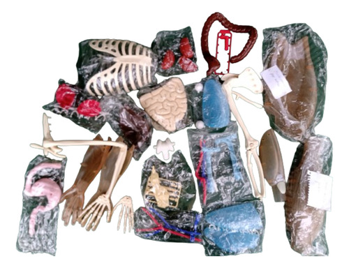 El Cuerpo Humano Colección Revistas Maquetas