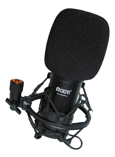Imagen 1 de 8 de Microfono Condenser De Grabacion Profesional Moon Ms01