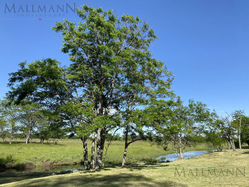 Venta Lote En Estancia Carabassa