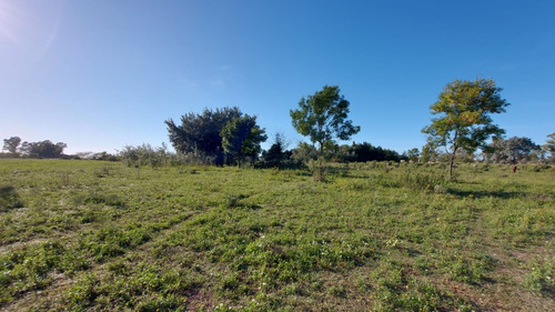 Vendo Excelente Terreno Tipo Chacra De 5,6 Has