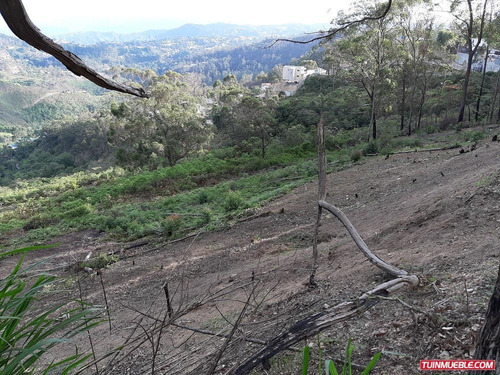 Imagen 12 de 12 de Venta De Terreno En San Antonio De L Altos Club De Campo Rz