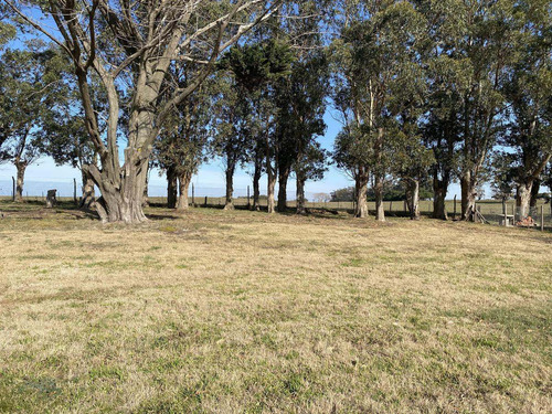 Imagen 7 de 14 de En Venta Lote, Barrancas De San Benito, Chapadmalal.