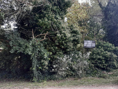 Venta Lote Barrio El Sosiego Reserva Forestal, Mar Del Platacentury 21 Recanatti Ofrece Para La V...