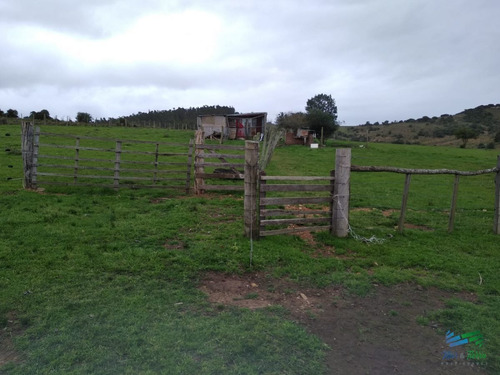 Imagen 30 de 30 de Vendo Excelente Chacra De 39 Hectáreas Para Granja Turística O Tambo, Aigua, Punta Del Este - Aiguá Aiguá