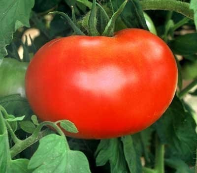 Semillas Tomate Híbrido Big Boy