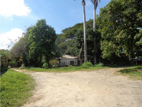 Espectacular Finca En Parque Valencia