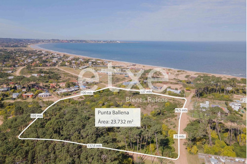 Oportunidad. Venta Enorme Terreno Tío Tom Portezuelo Playa (ref: Jpd-638)