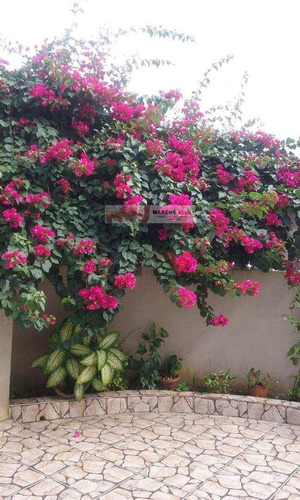 Imagem 3 de 15 de Casa Residencial À Venda, Balneário Flórida, Praia Grande - . - Ca0439