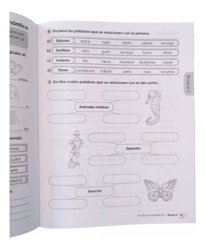 Practico Mi Gramática 2° Cuaderno De Trabajo / Primaria