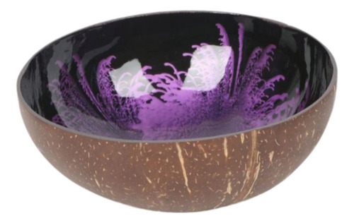Cuenco Decorativo De Coco Para Llaves, Soporte De Violeta