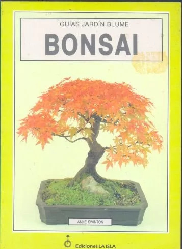 Anne Swinton: Bonsai