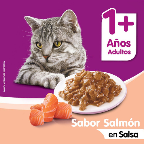 Whiskas Alimento Húmedo Sobrecito Gato Salmón Salsa 12 Un