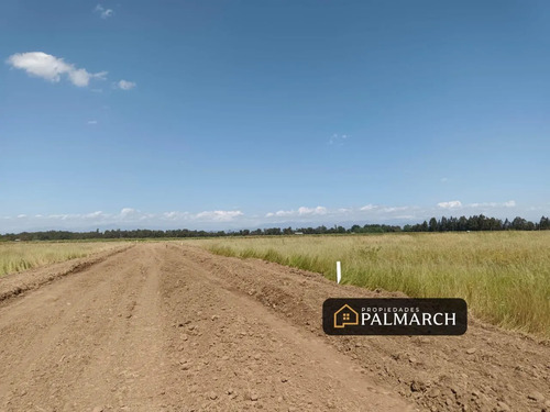 Parcelas En Venta 5000m2 Camino A Cato Chillán