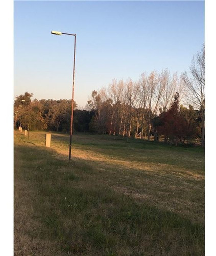 Terreno En Villa Elisa, Nivelado Y Desforestado