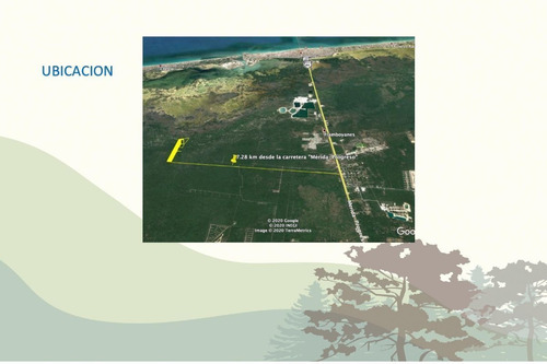 Imagen 7 de 11 de Terreno En Venta En Merida, Lote De Inversion, Bosques San I