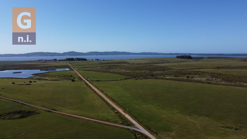 Campos Y Fracciones En Punta Del Este (laguna Del Sauce) - Ref. 4618