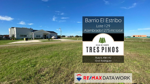 Venta Lote Barrio Estribo Tres Pinos Rodríguez 