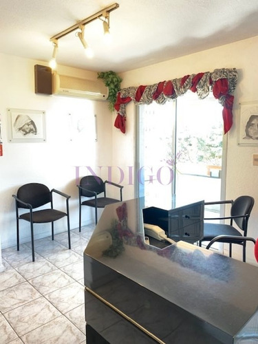 Imagen 16 de 23 de Amplio Y Luminosos Apartamento A La Venta En Centro Maldonado - Maldonado Centro Maldonado