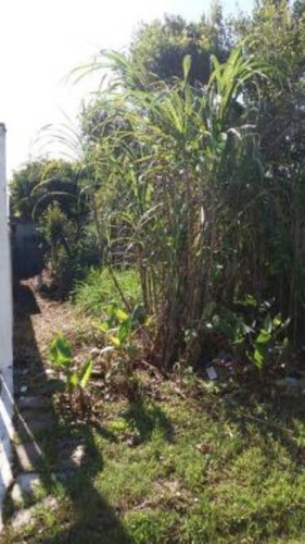 Imagem 3 de 4 de Terreno Na Praia À 800 Metros Do Mar, No Jardim Regina, Em Itanhaém, Com 300 M² De Área Total