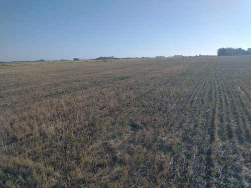 Imagen 7 de 14 de Campo En Venta En Punta Indio - 77 Hectáreas
