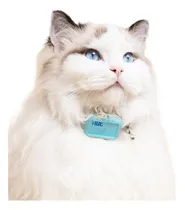 Comprar Coleira Gps Rastreador Gato Pequeno Cachorro Localizador Pet Cor Azul-celeste