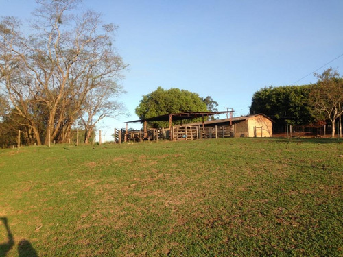 Imagem 5 de 17 de Chácara Com 6 Dormitórios À Venda, 88572 M² Por R$ 1.650.000 - Centro - Jaci/sp - Ch0075