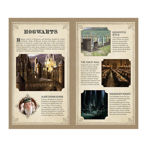 Diario Harry Potter Hogwarts - Mosca