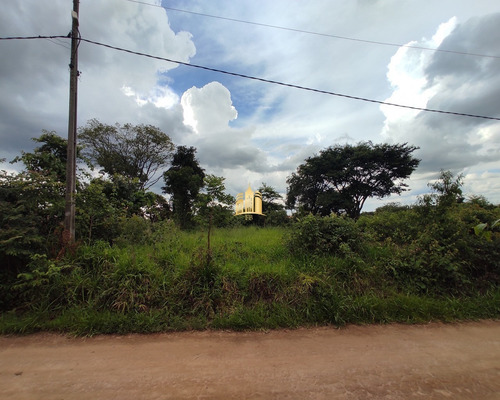 Imagem 5 de 5 de Terreno Em Andiroba - Esmeraldas - Te00342 - 68997908