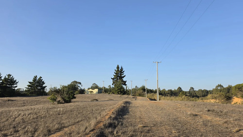 Parcelas Planas En Algarrobo Norte En Condominio Consolidado