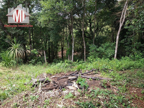 Imagem 13 de 23 de Ótima Chácara Com 3 Dormitórios, Córrego, Pomar, Excelente Localização, À Venda, 3000 M² Por R$ 215.000 - Zona Rural - Pinhalzinho/sp - Ch0848